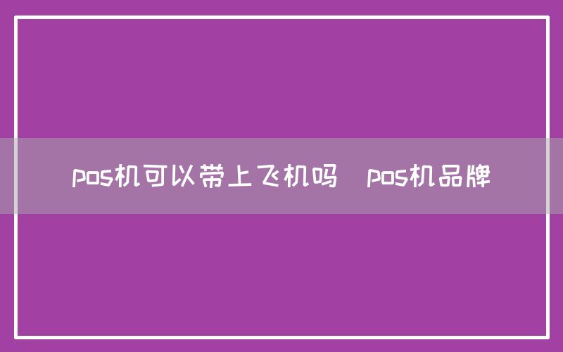 pos机可以带上飞机吗(pos机品牌)