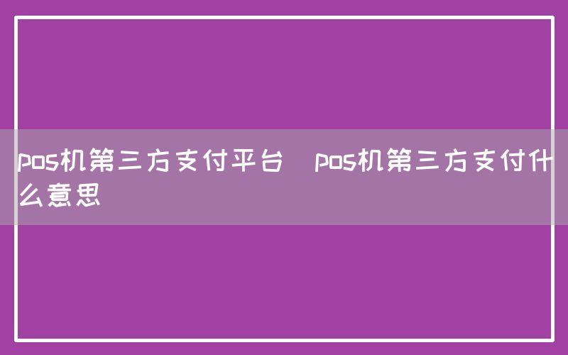 pos机第三方支付平台(pos机第三方支付什么意思)(图1)