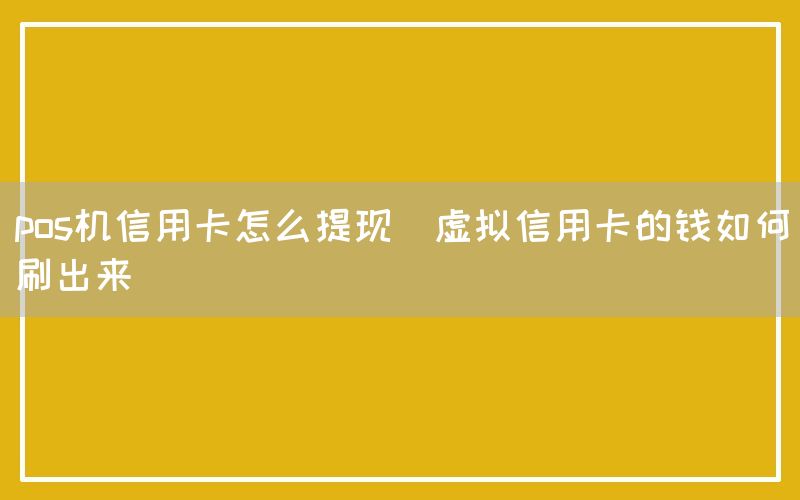 pos机信用卡怎么提现(虚拟信用卡的钱如何刷出来)