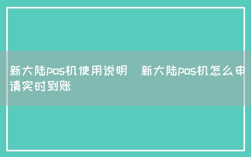 新大陆pos机使用说明(新大陆pos机怎么申请实时到账)