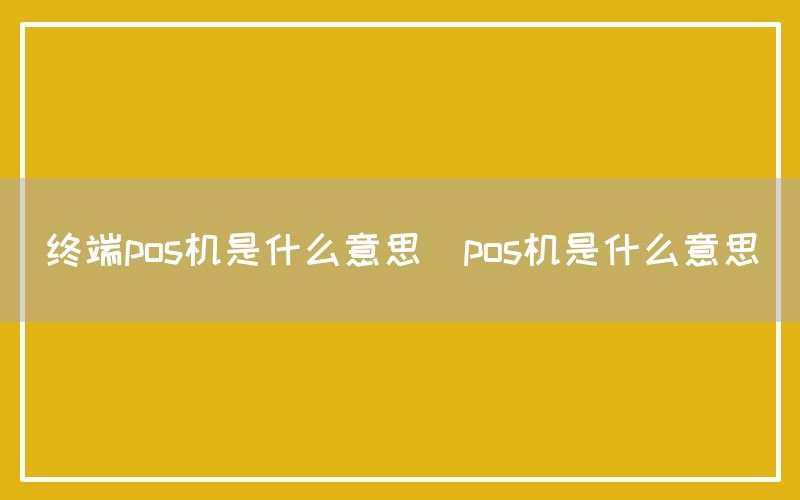 终端pos机是什么意思(pos机是什么意思)