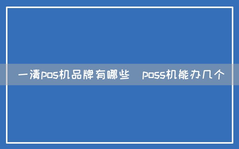 一清pos机品牌有哪些(poss机能办几个)